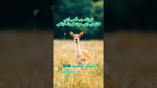 #shorts hadees / hadees e pak / hadees e kisa / hadith / status / Islamic hadees / hadees mubarak