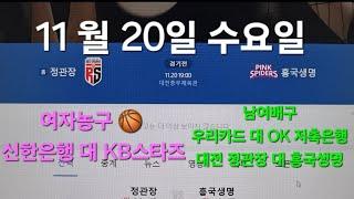 스포츠토토 프로토 11월 20일 수요일 여자농구  남여배구  예상