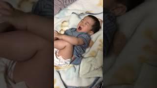 옷갈아입기싫어땡강부리는백호