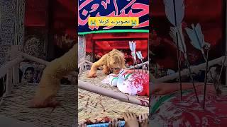 shorts #shortvideo #trending #unfrezzmyaccount #Viral#shorts #shortsfeed