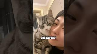 This cat's reaction is the absolute sweetest ️