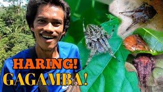 HINDI AKO MAKAPANIWALA! MAY GAGAMBA PALA NA GANITO KA LAKI!