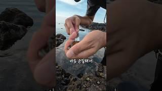 바로 잡아서 만든요리