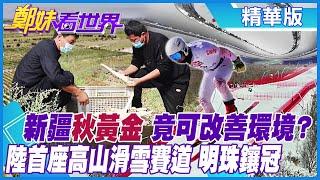 【鄭妹看世界】新疆"秋黃金" 竟可改善環境? 陸首座高山滑雪賽道 明珠鑲冠 @全球大視野Global_Vision  精華版