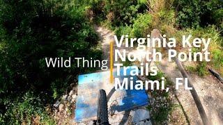 Wild Thing | Virginia Keys North Point Trails | Miami, Florida