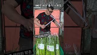연주 테라피 받은 미나리 맛있을수밖에! #청년농부진이 #진이미나리 #청도군 #식물테라피 #3월 #삼삼데이 #삼겹살 #청도미나리