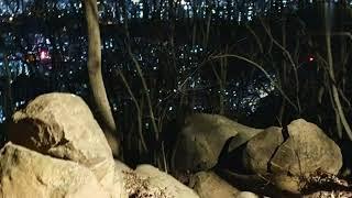 @동작구의 지붕 국사봉