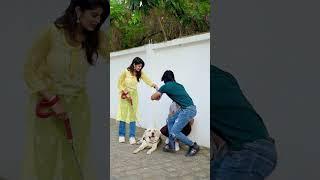 Are ye Apka kutta hai  || Mujassim khan || #viral #explore #comedy #mujassimkhan