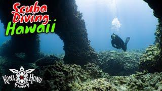 LAX site is the Best Scuba Diving in Hawaii | Kona Honu Divers