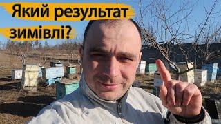 НЕЙМОВІРНО!? Як закінчилась зимівля бджіл?  Що з моїми відводками???