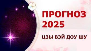 АСТРОПРОГНОЗ 2025: Прогноз по Цзы Вэй Доу Шу