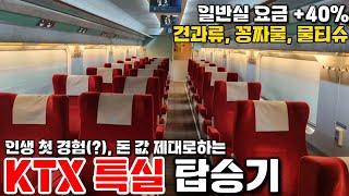 일반실보다 40프로 더 내고 타는 1등석 좌석 | KTX 특실 탑승기(건과류, 물 공짜)