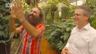 Discover tropical treasures with ABC's Gardening Australia