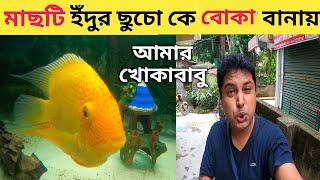 Bengali Vlog | মাছটি কিকরে ইঁদুর ছুচো কেও বকা বানায় 