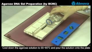 Agarose DNA Gel Preparation (by BCRC)