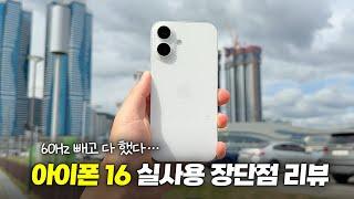 60Hz 빼고는... 아이폰 16 실사용 장단점 정리