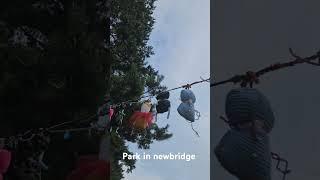 Newbridge