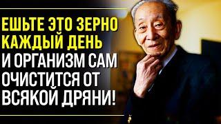 ЭТО МЕТОД НАШИХ ПРЕДКОВ! Гениальный Японский Ученый Мичио Куши о Макробиотическом Питании