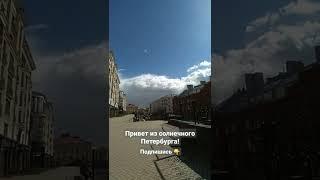  Привет из солнечного Петербурга! #питер #shorts #питерсегодня #жизньвпитере