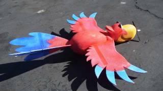 Disney's Iago from Aladdin (Radio Controlled) flown by Otto Dieffenbach