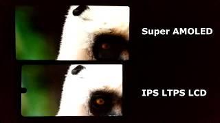 Super Amoled vs IPS (Display Test)