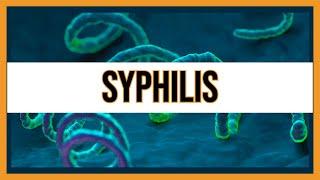 Syphilis (Treponema Pallidum)