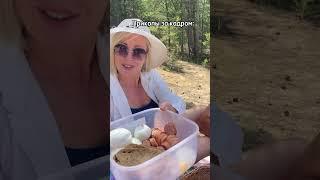На речке (Часть 2) Больше нас в Тгк: Ломановы, ссылка в шапке