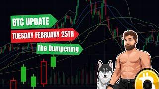 Bitcoin Update - Tuesday February 25th - The Dumpening