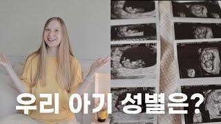 성별을 알게 됐어요! 한국에 사는 우크라이나 여자의 16-17주차 임신일기