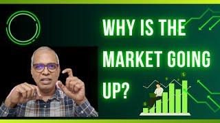 Why is the market going up? 22-11-2024 #sensex #nifty #india #market