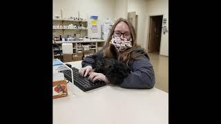 Pets at Ralston Vet