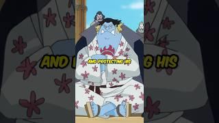 Every straw hats alternate crew and why it makes scary sense