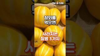참외를 먹으면 사라지는 질병 3가지 영상 보시고 건강 지킵시다 #건강정보 #건강