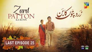 Zard Patton Ka Bunn - Last Episode 25 [CC] - 23 Oct 24 - HUM TV - Sherry Studio Review