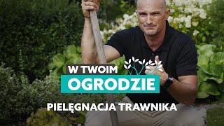 Co w trawie piszczy, czyli jak pielęgnować trawnik [W Twoim ogrodzie]