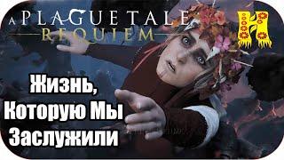 A Plague Tale Requiem: Прохождение Глава 12 - Жизнь, Которую Мы Заслужили