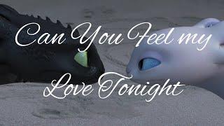 Toothless & Light Fury - Can You Feel my Love Tonigh