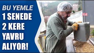 Besicinin 12 Yaşındaki Hayvanı Bu Yemle Hamile! Ayda 10 Ton Yemi Kendi Üretiyor" | Agro TV Haber