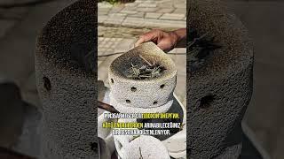 Самая южная точка Северного Кипра