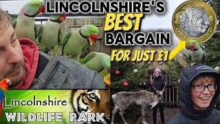 The BEST!! bargain in Lincolnshire this December !! We were SHOCKED !! £1 per person!!!