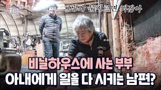 외딴섬 직접 지은 비닐하우스에 사는 부부, 아내에게 일만 시키는 남편?｜다시보는 특종세상 462회