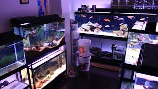 Fish Room Tour
