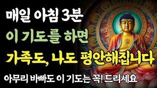 아침 기도를 절대 놓치지 마세요! 매일 아침 ‘이 기도’만 드리세요ㅣ부처님 말씀ㅣ불교 명언