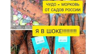 Я В ШОКЕ!!!! ЧУДО - МОРКОВЬ ОТ САДОВ РОССИИ. ЧТО ТЕПЕРЬ ДЕЛАТЬ С ЭТИМ УРОЖАЕМ!!!???