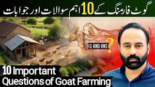 10 Important questions and answers of Goat Farming | 17 February 2025 |