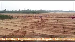 605 Sq. Yard / 5 Guntas Farmland Plots for Sale at just ₹5 Lakhs in Narayankhed by Bharat Nirman Ltd