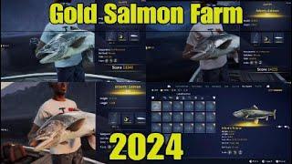 Gold Atlantic Salmon Farm 2024 - COTW The Angler