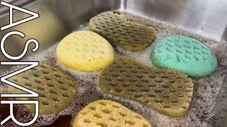  Maxim Pine + Bath Sponges | ASMR 