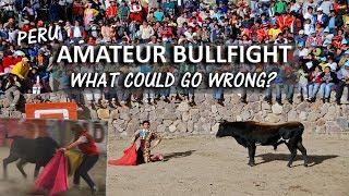 How To Lose A Bullfight