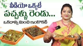 పాలకూర చుక్కకూర చట్నీ || Paalakura Chukkakura Chutney in Telugu || Sailaws Kitchen